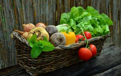 Sekundäre Pflanzenstoffe: Superfood für die Gesundheit